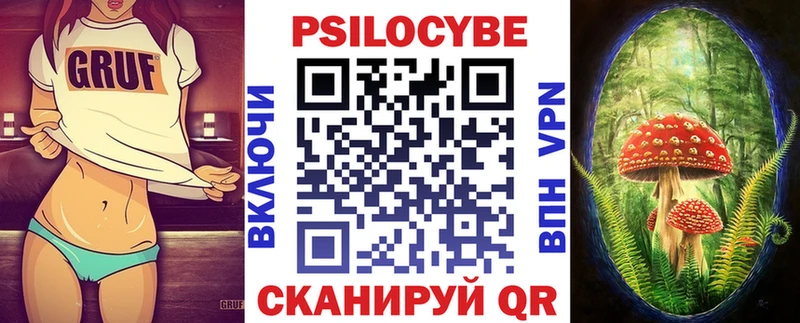это телеграм  что такое   Сычёвка  Галлюциногенные грибы Psilocybe 