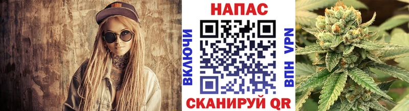 Каннабис SATIVA & INDICA  Сычёвка 